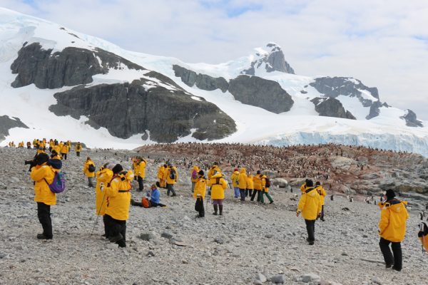 「ワールド・エクスプローラー」の南極探検クルーズの特徴