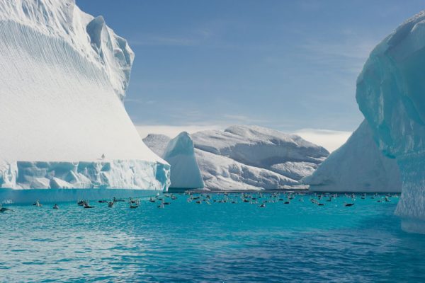 南極・北極クルーズの魅力