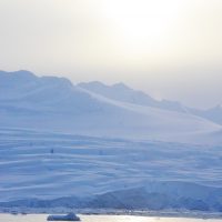 《催行決定！／添乗員同行コース 》【MSフリチョフ・ナンセン】南極クルーズ16日間の旅
