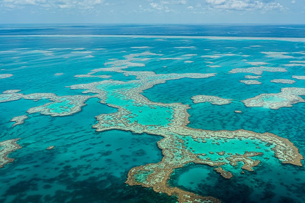 世界最大のサンゴ礁とサンゴの海を船から堪能　　　