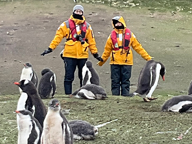 ベストシーズン！ 南極大陸本島へ上陸 ワールド・エクスプローラーで航く 大自然と野生動物を見学 南極探検クルーズ 16日間