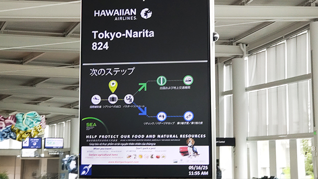 【スタッフ乗船レポート】ロイヤル･プリンセス　シアトル発着　アラスカクルーズ2025年5月16日(金)～5月25日(日)に乗船してきました。