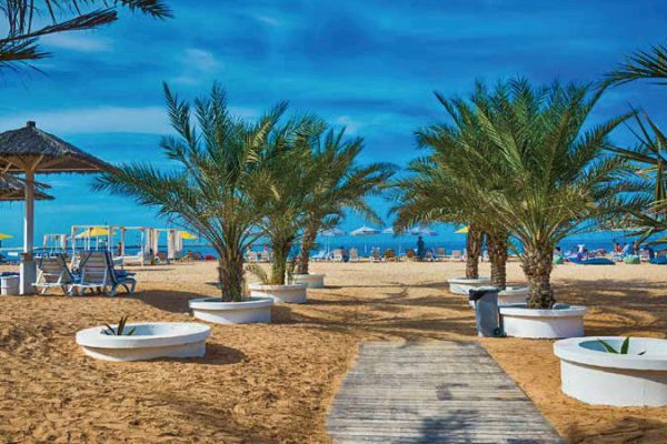 地上での旅行では中々訪れることが出来ない寄港地をご案内