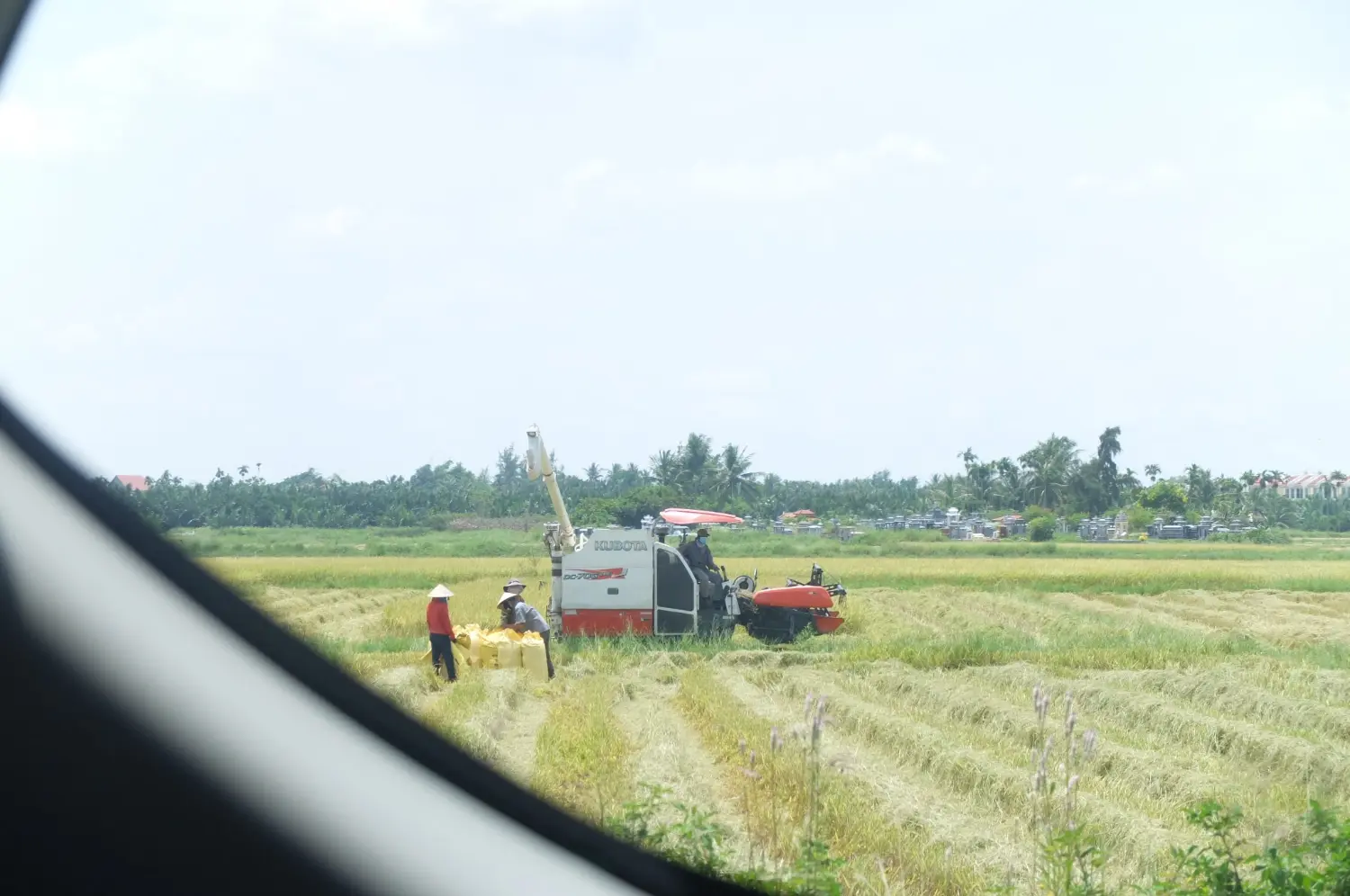 車窓からの田舎風景