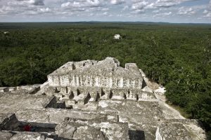 カンペチェ州カラクムルの古代マヤ都市と熱帯保護林年、