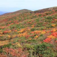 名鉄のハイキング 秋冬号発売中！！