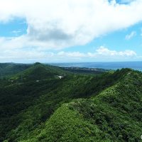 荻原次晴さんと歩くやんばるの森３日間ツアー募集開始しました。