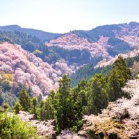 『日帰りで歩く冬から春の山旅』好評発売中！！